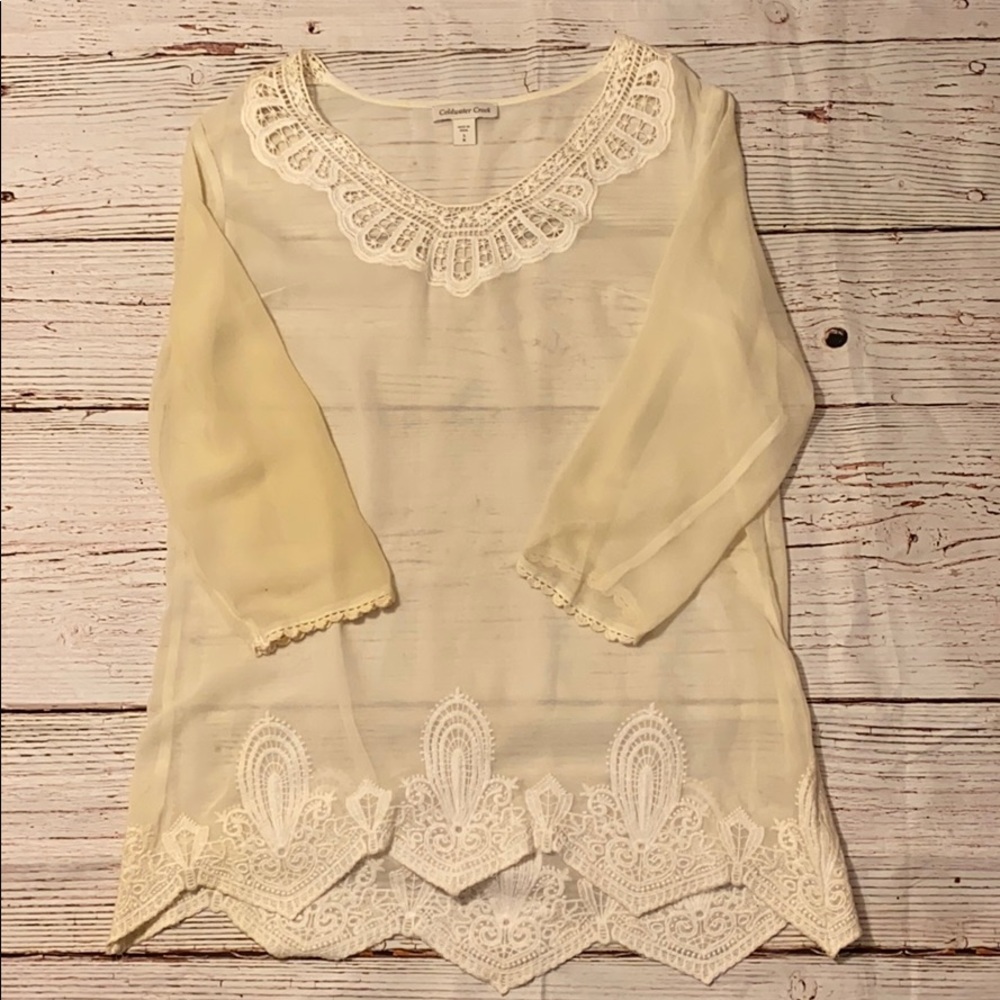Coldwater Creek Sheer Tunic